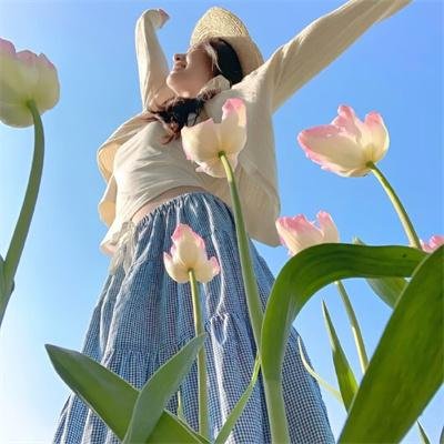 碰撞搜查线
